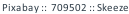 Pixabay ::  709502 :: Skeeze